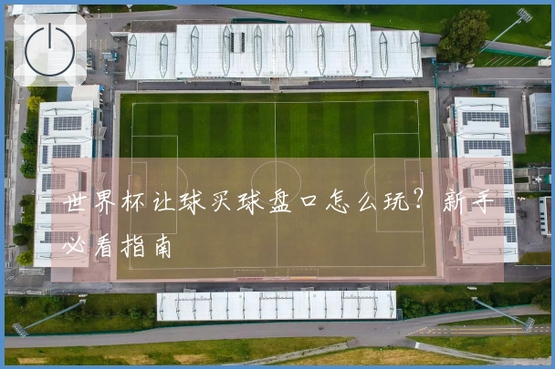 世界杯让球买球盘口怎么玩？新手必看指南