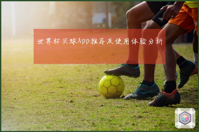 世界杯买球App推荐及使用体验分析