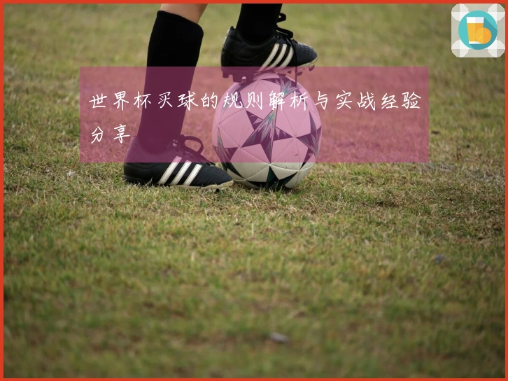 世界杯买球的规则解析与实战经验分享