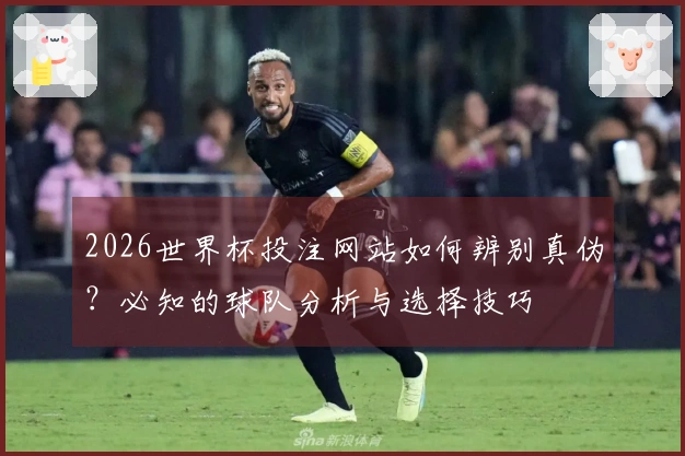 2026世界杯投注网站如何辨别真伪？必知的球队分析与选择技巧