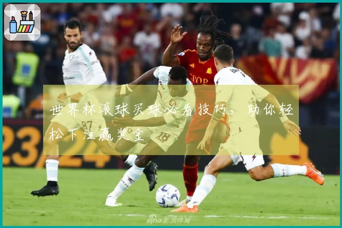 世界杯滚球买球必看技巧，助你轻松下注赢奖金