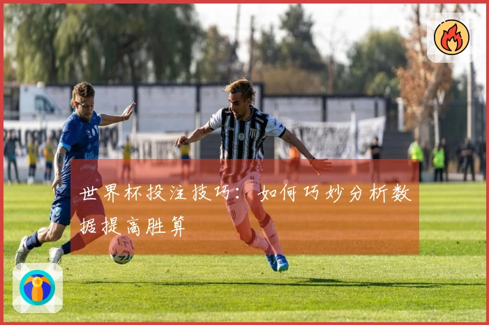世界杯投注技巧:如何巧妙分析数据提高胜算