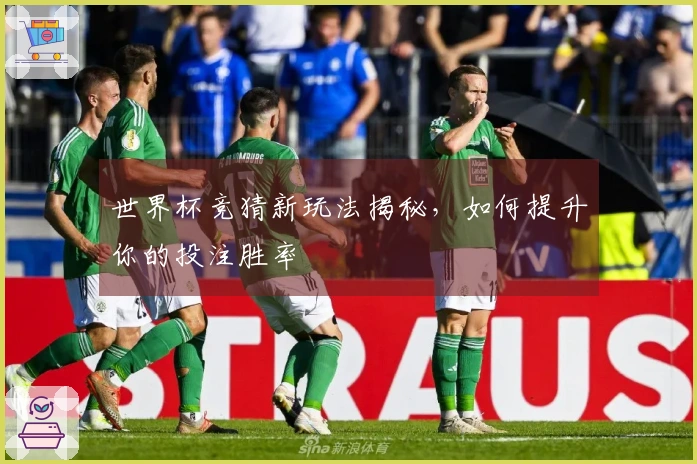 世界杯竞猜新玩法揭秘，如何提升你的投注胜率