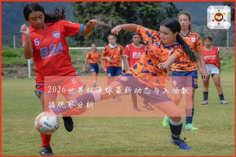 2026世界杯滚球最新动态与入场数据观察分析