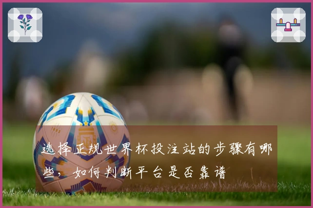 选择正规世界杯投注站的步骤有哪些，如何判断平台是否靠谱