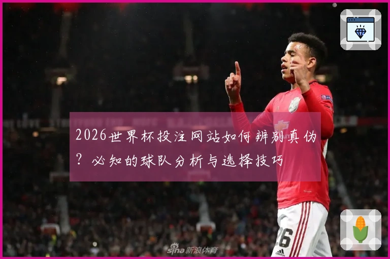 2026世界杯投注网站如何辨别真伪？必知的球队分析与选择技巧