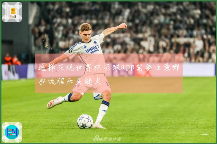 选择正规世界杯买球app需要注意哪些流程和关键点