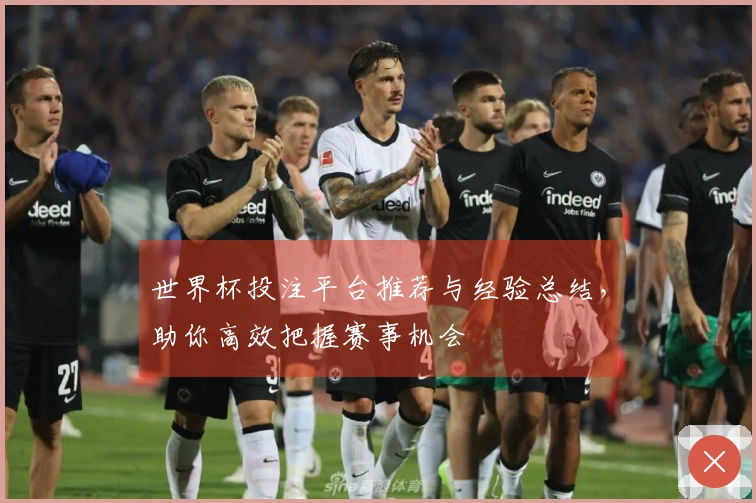 世界杯投注平台推荐与经验总结，助你高效把握赛事机会