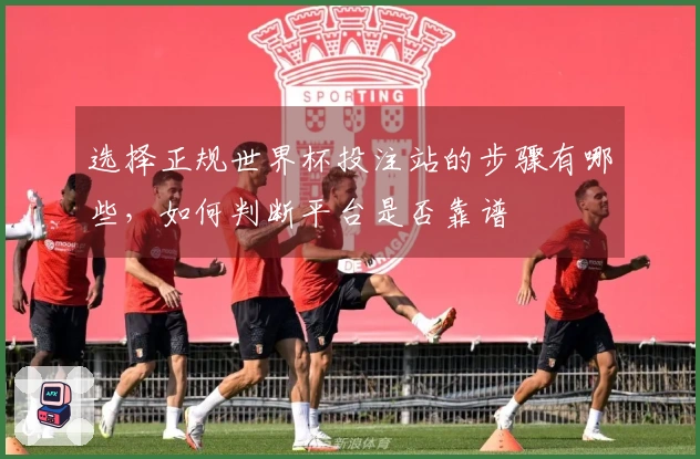 选择正规世界杯投注站的步骤有哪些，如何判断平台是否靠谱
