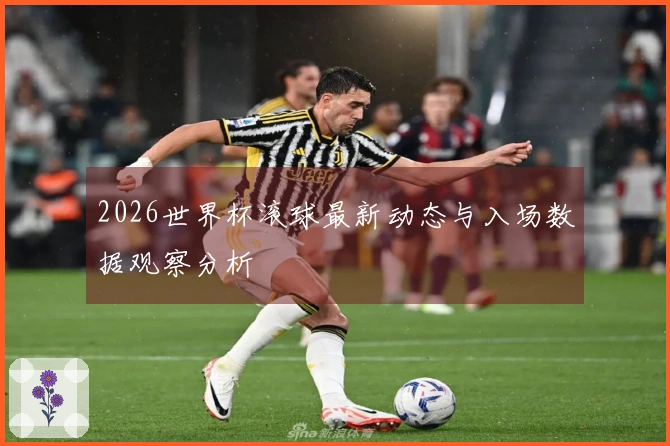 2026世界杯滚球最新动态与入场数据观察分析
