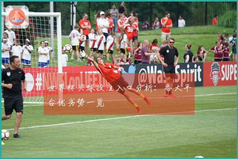 世界杯买球投注入口分析：各大平台优劣势一览