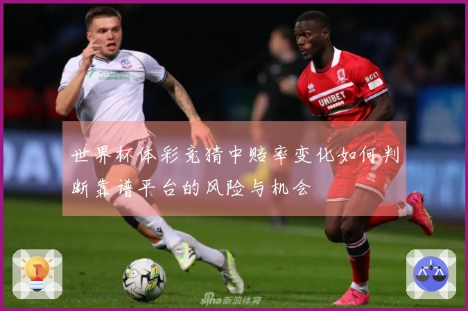 世界杯体彩竞猜中赔率变化如何判断靠谱平台的风险与机会