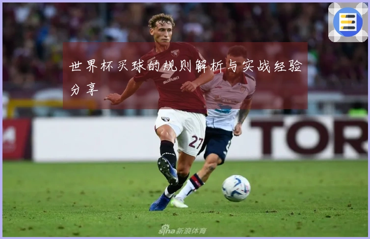 世界杯买球的规则解析与实战经验分享